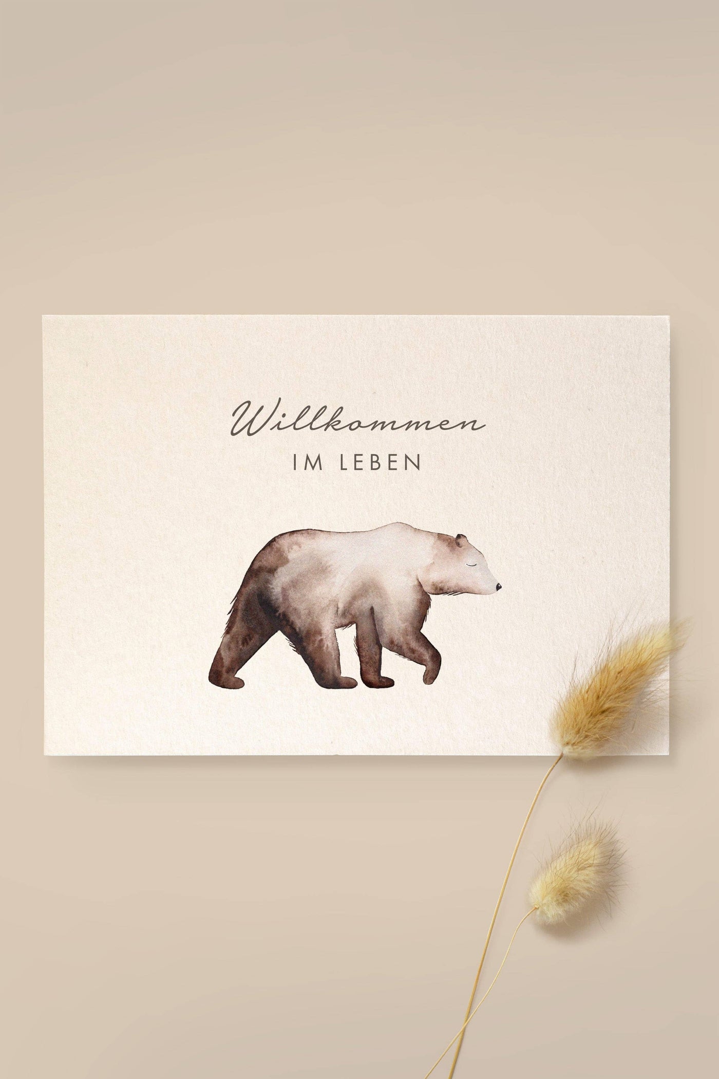 Karte Bär „Willkommen im Leben“ aus Holzschliffpappe